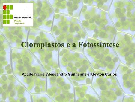 Cloroplastos e a Fotossíntese