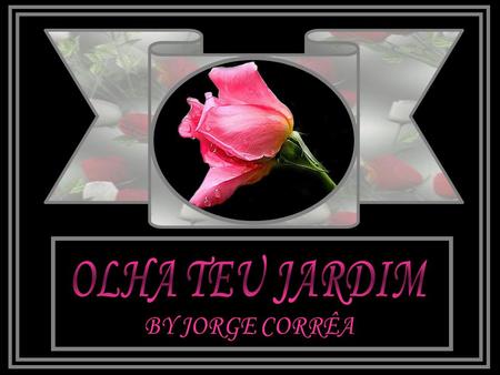 OLHA TEU JARDIM BY JORGE CORRÊA.