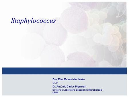 Staphylococcus Dra. Elsa Masae Mamizuka USP