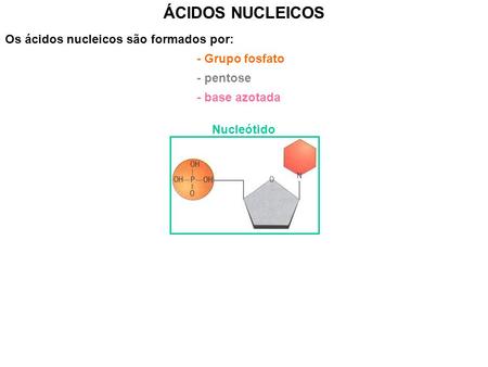 ÁCIDOS NUCLEICOS Os ácidos nucleicos são formados por: - Grupo fosfato