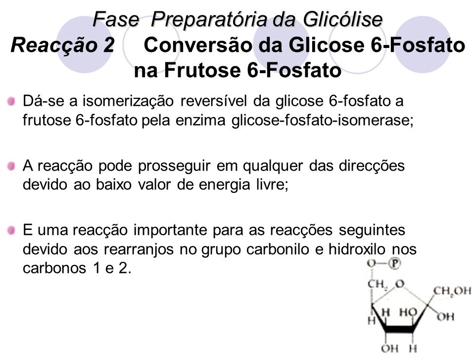 Fase Preparatória da Glicólise Reacção 2 Conversão da Glicose 6-Fosfato na Frutose 6-Fosfato