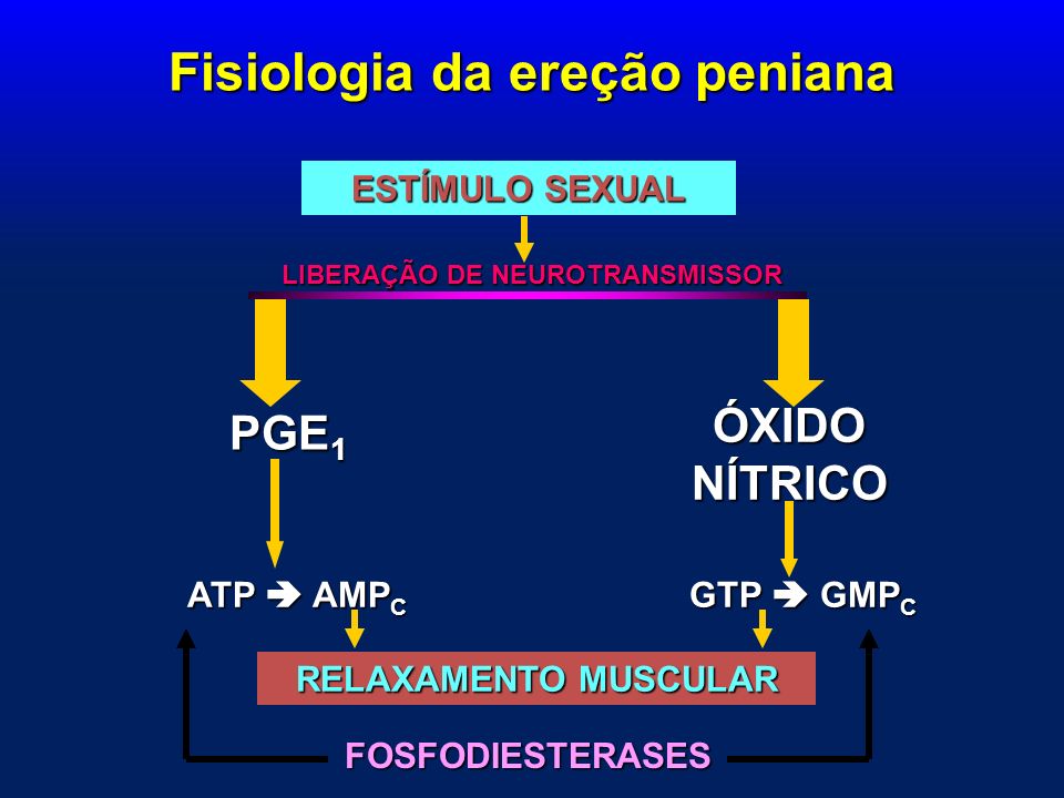 Dr. Aluizio G. da Fonseca Disciplina de Clínica Cirúrgica I UEPA - ppt carregar