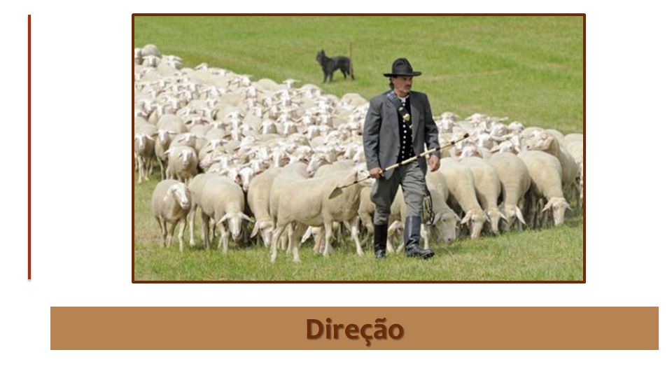 Direção O verbo guiar é o mesmo de Salmo 23.3, onde o Senhor pastoreia e orienta a ovelha em tempos de crise.