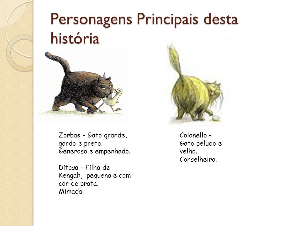 Biblioteca Escolar Silves Sul: Quiz História de uma gaivota e do gato que  a ensinou a voar