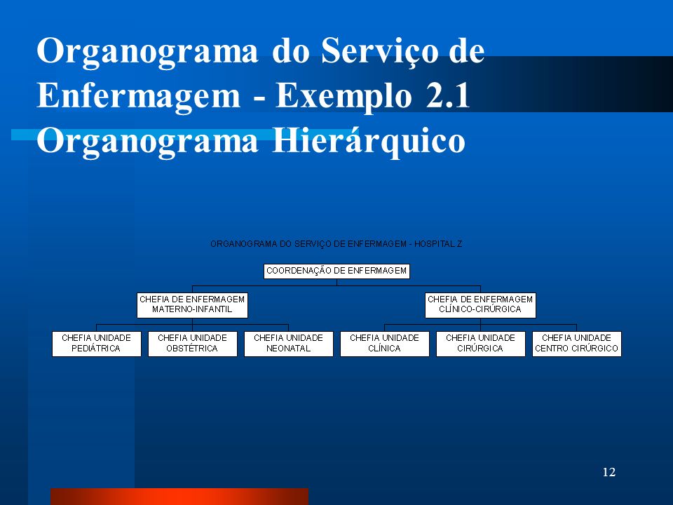 Organograma do Serviço de Enfermagem - Exemplo 2