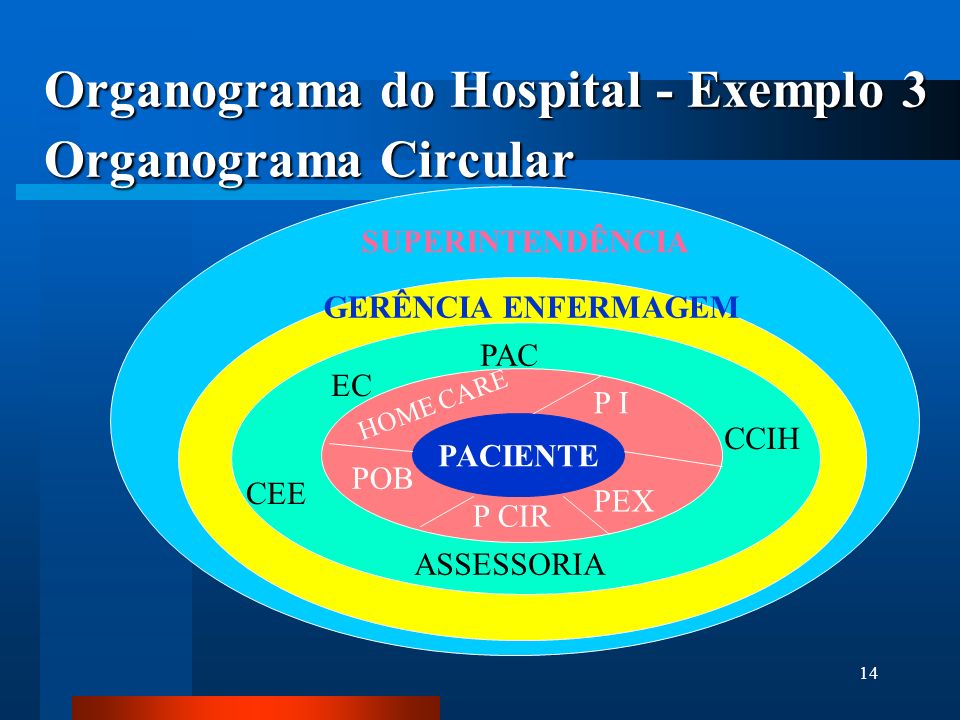 Organograma do Hospital - Exemplo 3 Organograma Circular