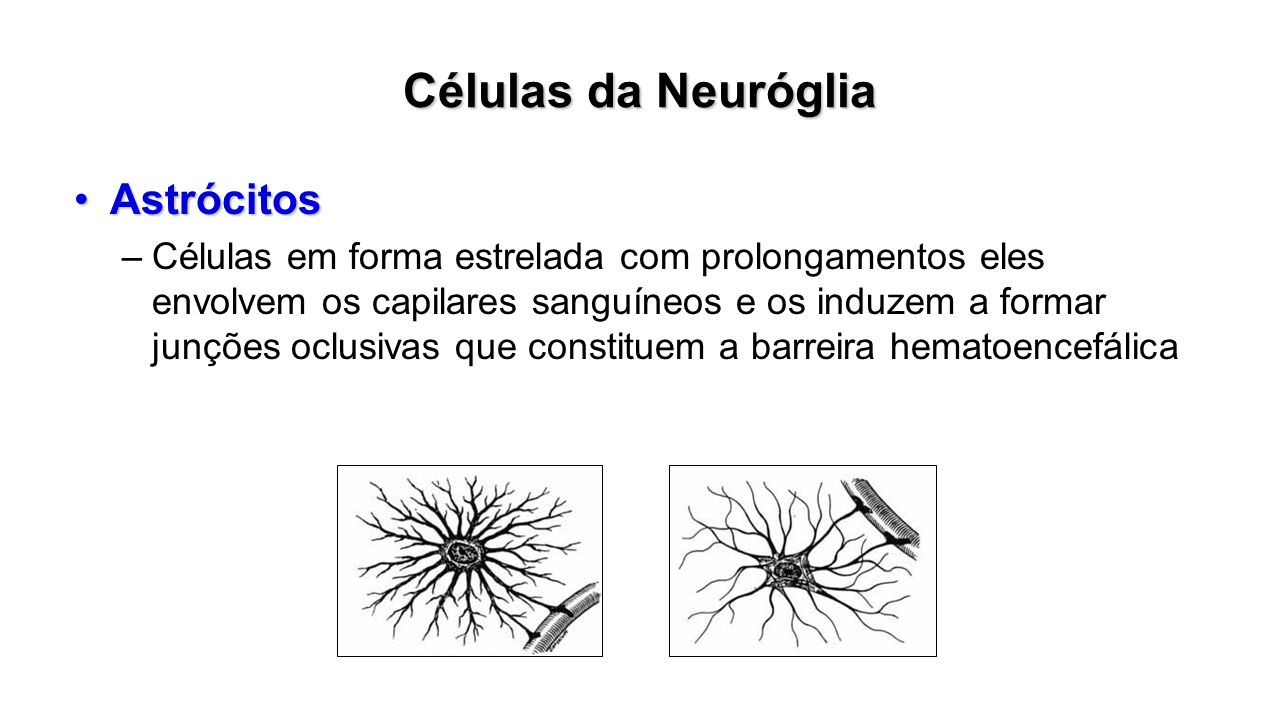Células da Neuróglia Astrócitos