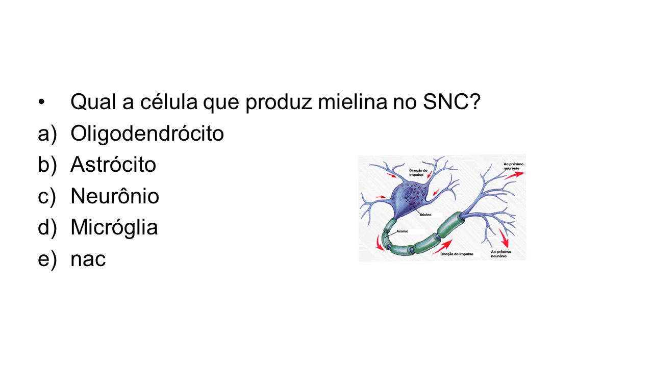 Qual a célula que produz mielina no SNC