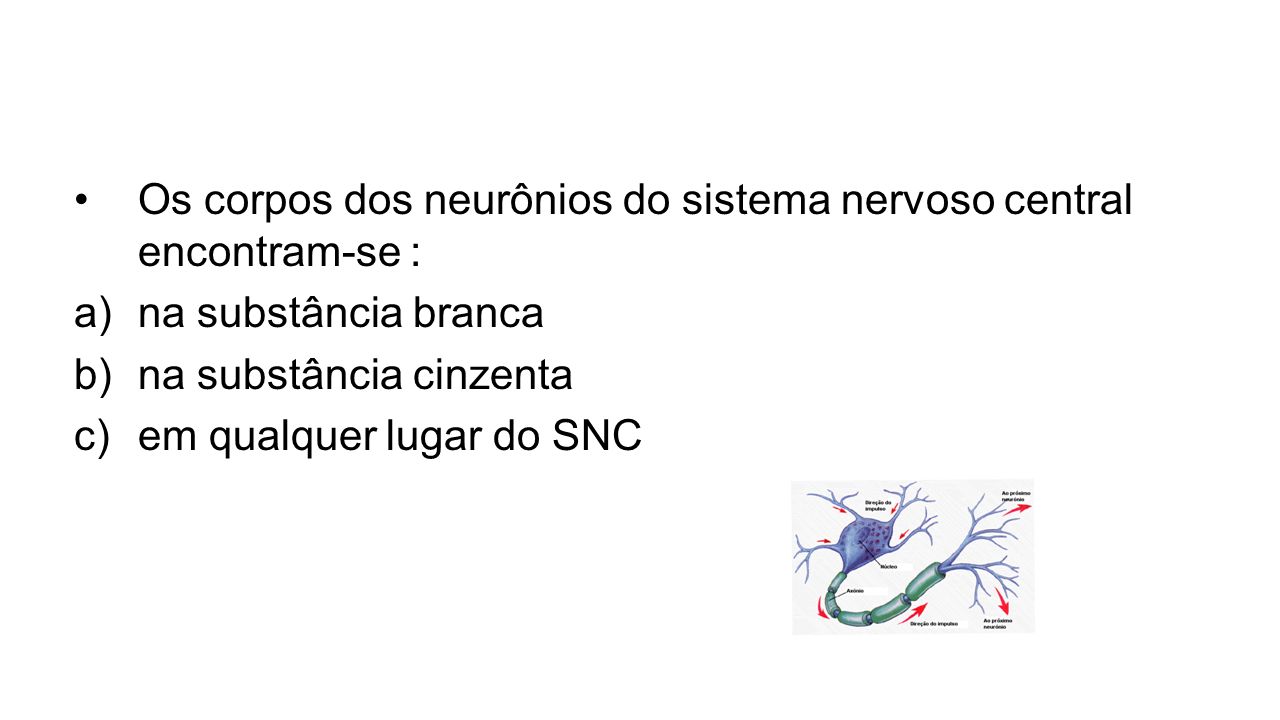 Os corpos dos neurônios do sistema nervoso central encontram-se :