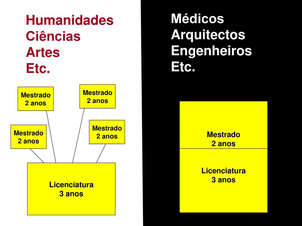 Médicos Humanidades Arquitectos Ciências Engenheiros Artes Etc. Etc.