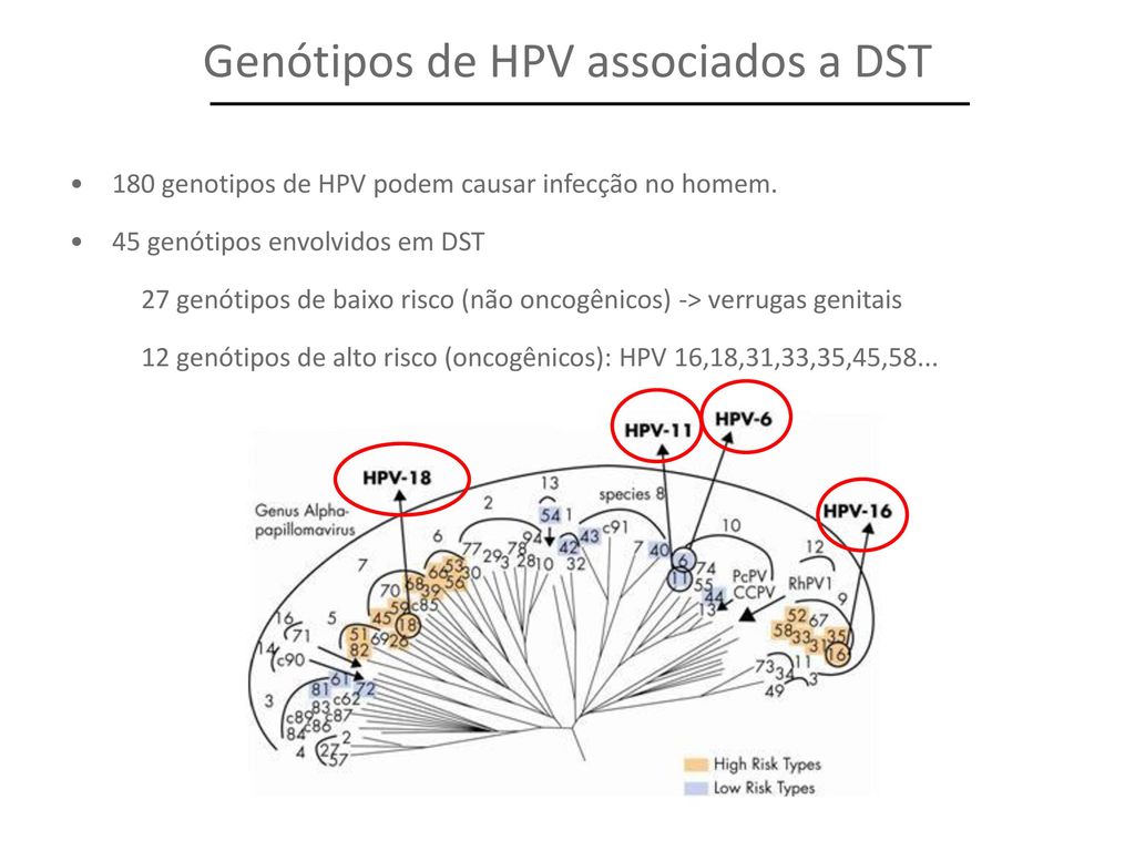 virus papiloma genotipo 16)