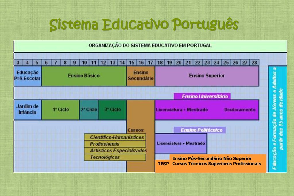 Sistema Educativo Português