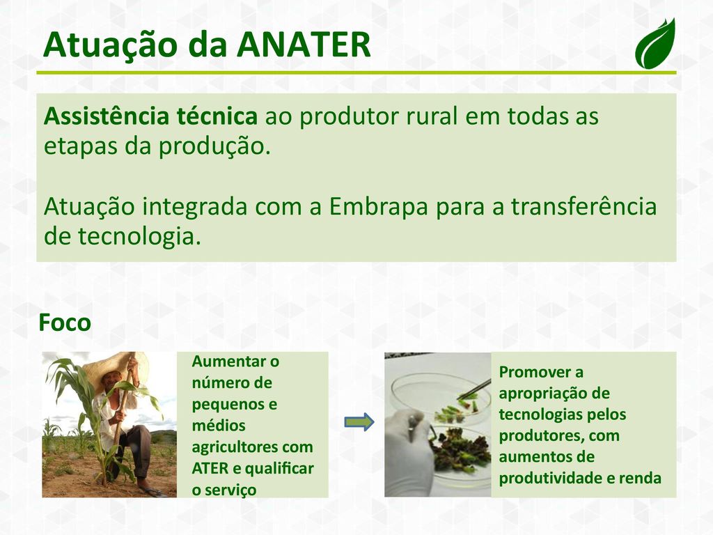 Atuação da ANATER Assistência técnica ao produtor rural em todas as etapas da produção.