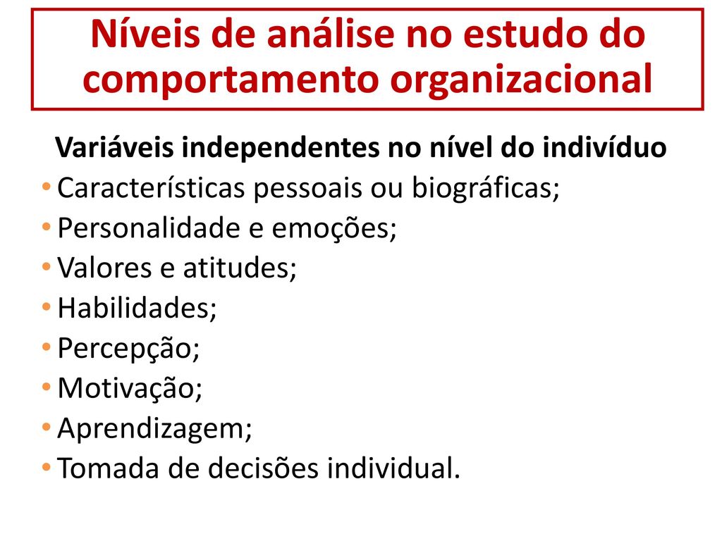Níveis de análise no estudo do comportamento organizacional