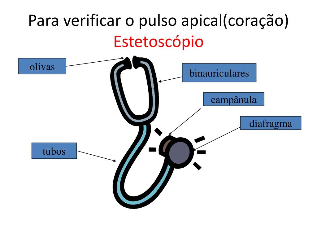 Para verificar o pulso apical(coração) Estetoscópio