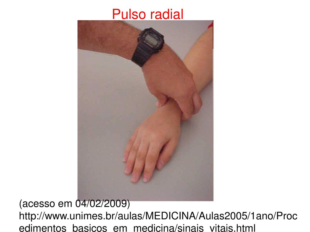 Pulso radial (acesso em 04/02/2009)   edimentos_basicos_em_medicina/sinais_vitais.html.