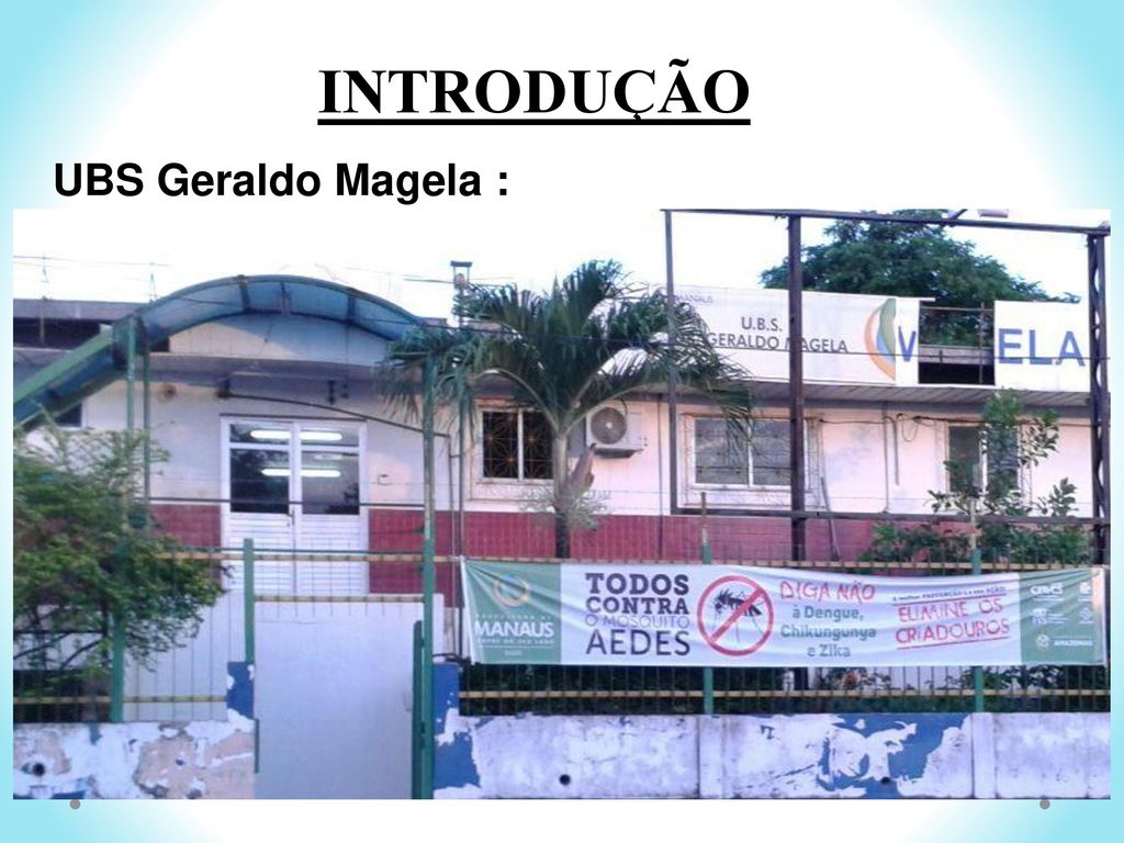 INTRODUÇÃO UBS Geraldo Magela :