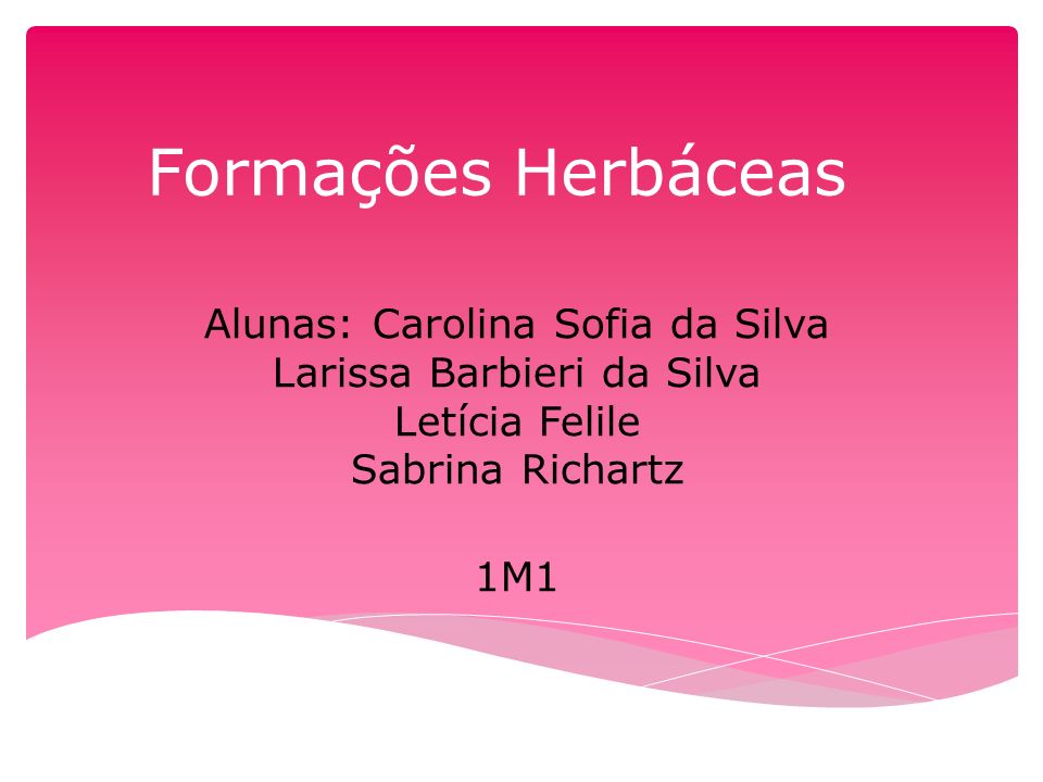 Formações Herbáceas Alunas: Carolina Sofia da Silva Larissa Barbieri da Silva Letícia Felile Sabrina Richartz.