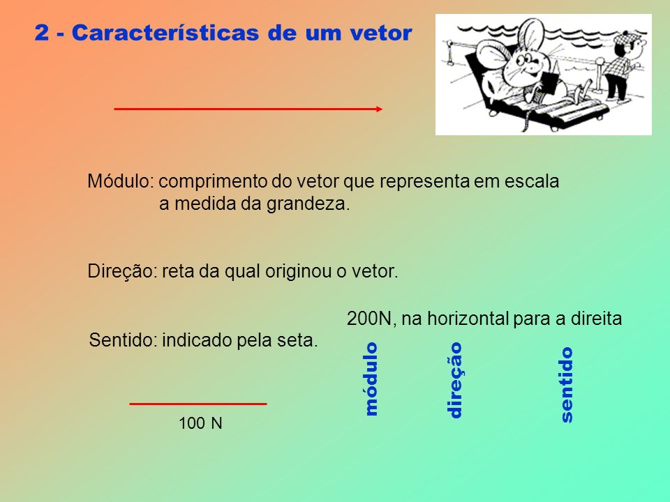 2 - Características de um vetor