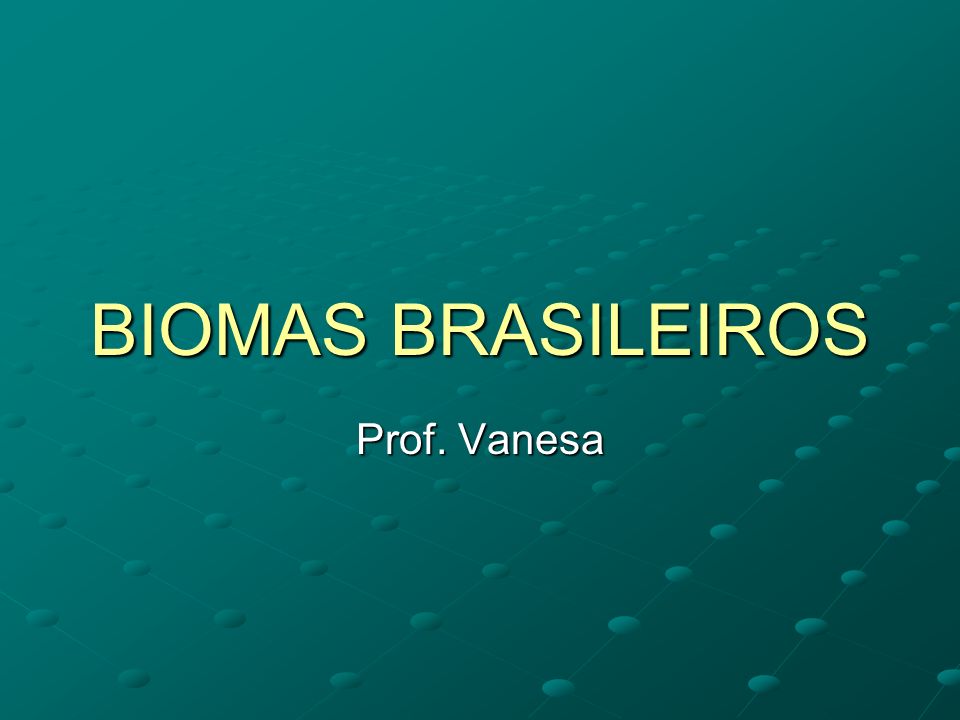 BIOMAS BRASILEIROS Prof. Vanesa