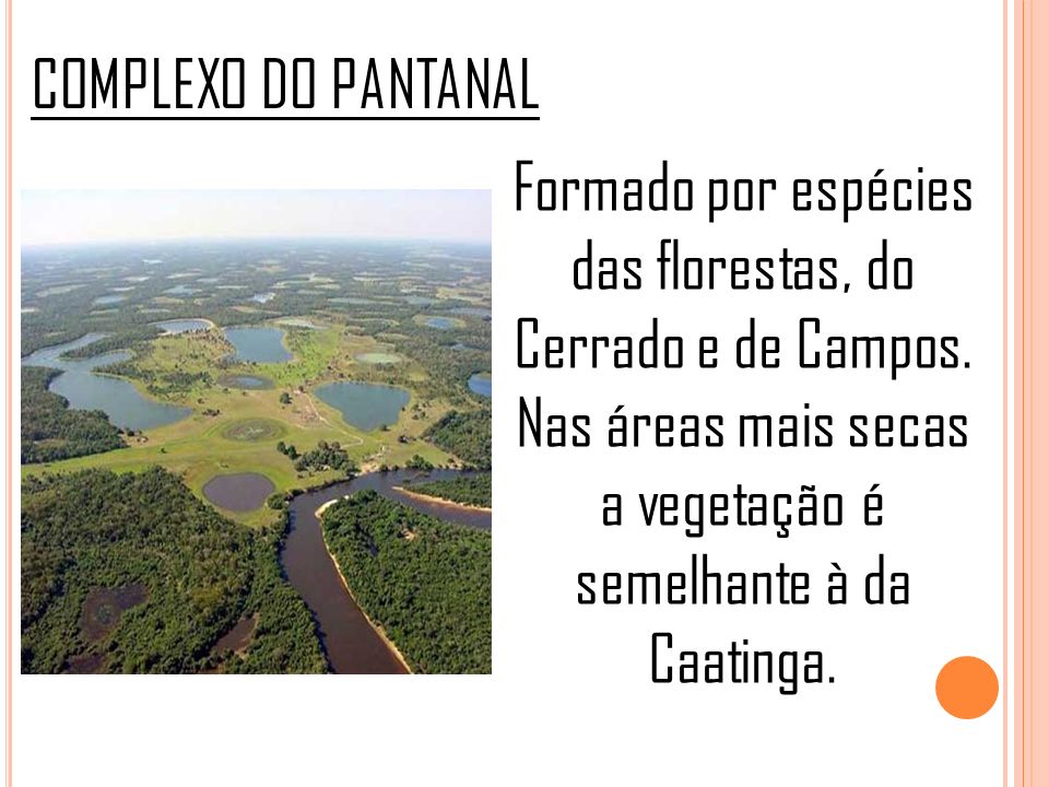 COMPLEXO DO PANTANAL Formado por espécies das florestas, do Cerrado e de Campos.