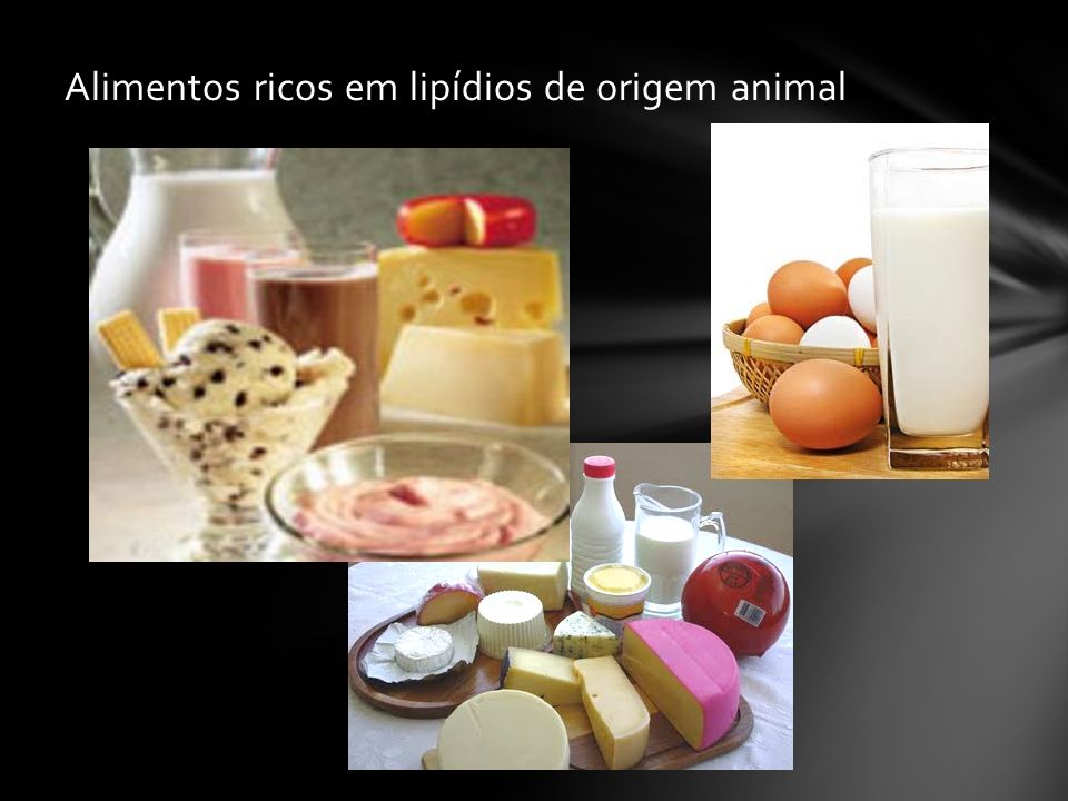 Alimentos ricos em lipídios de origem animal