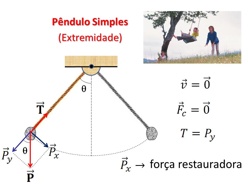 Pêndulo Simples (Extremidade)   força restauradora