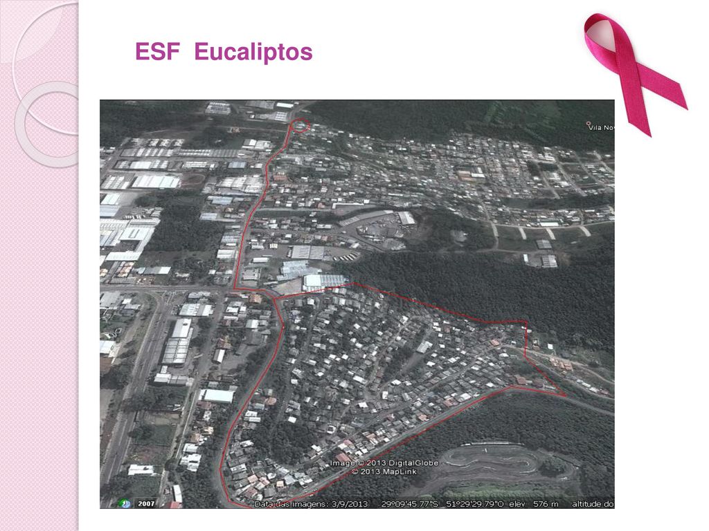 ESF Eucaliptos