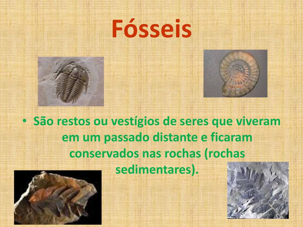 Fósseis São restos ou vestígios de seres que viveram em um passado distante e ficaram conservados nas rochas (rochas sedimentares).