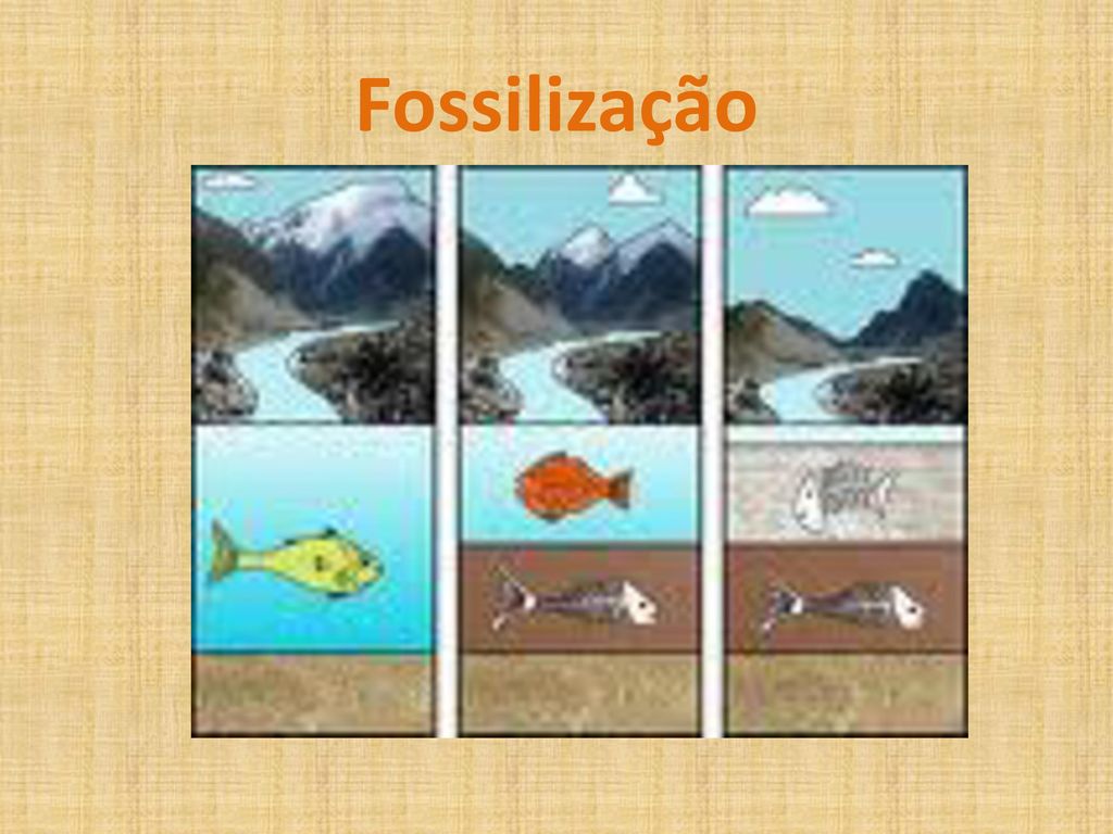 Fossilização