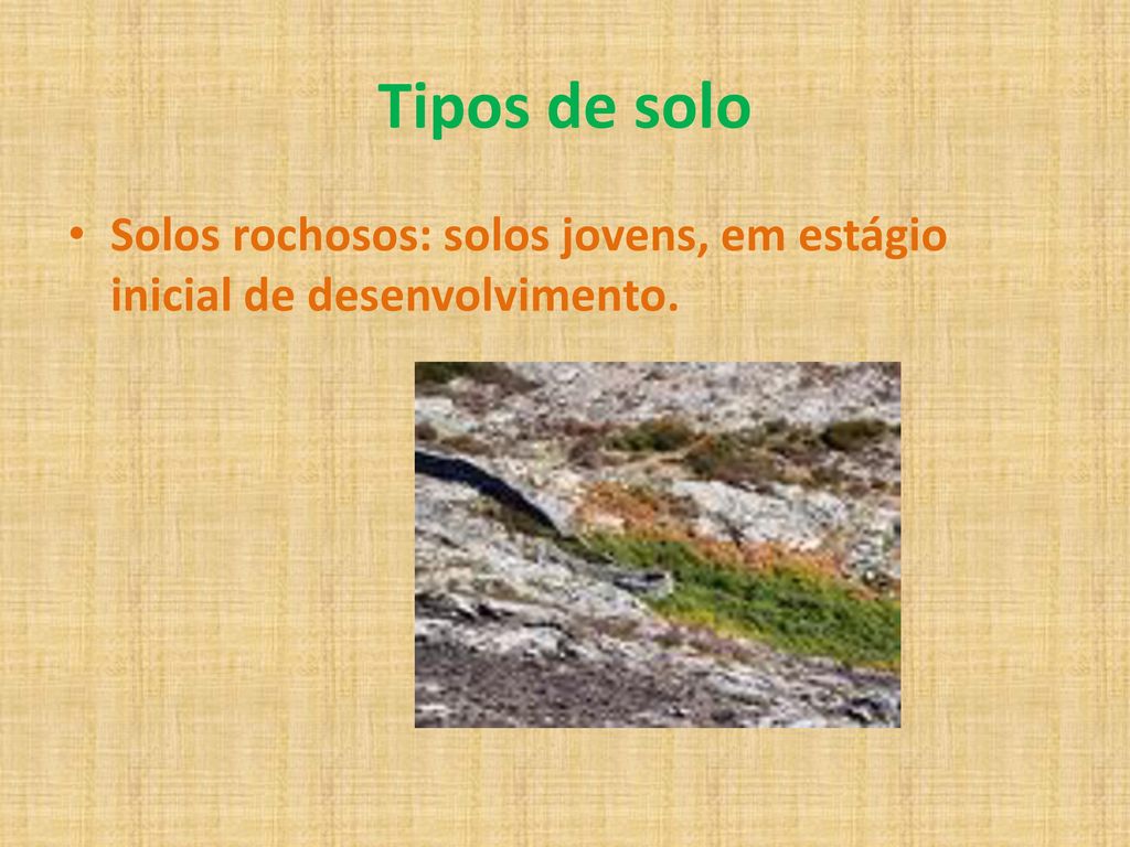 Tipos de solo Solos rochosos: solos jovens, em estágio inicial de desenvolvimento.