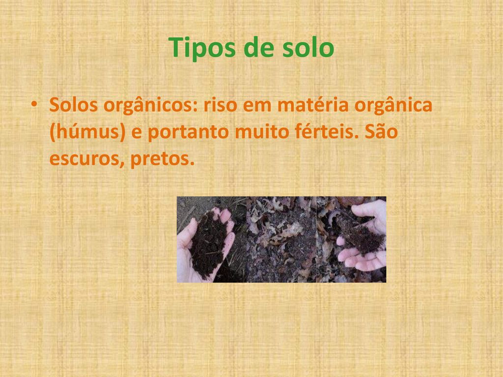 Tipos de solo Solos orgânicos: riso em matéria orgânica (húmus) e portanto muito férteis.