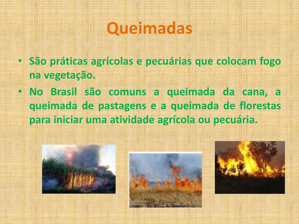 Queimadas São práticas agrícolas e pecuárias que colocam fogo na vegetação.