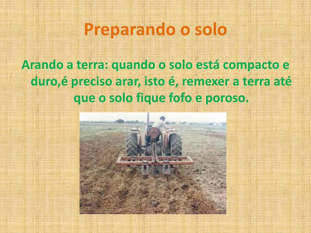 Preparando o solo Arando a terra: quando o solo está compacto e duro,é preciso arar, isto é, remexer a terra até que o solo fique fofo e poroso.