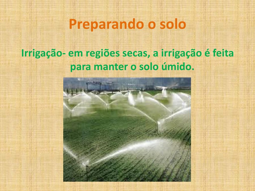 Preparando o solo Irrigação- em regiões secas, a irrigação é feita para manter o solo úmido.