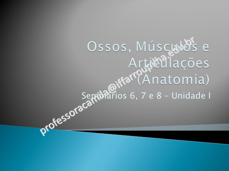 Ossos, Músculos e Articulações (Anatomia)
