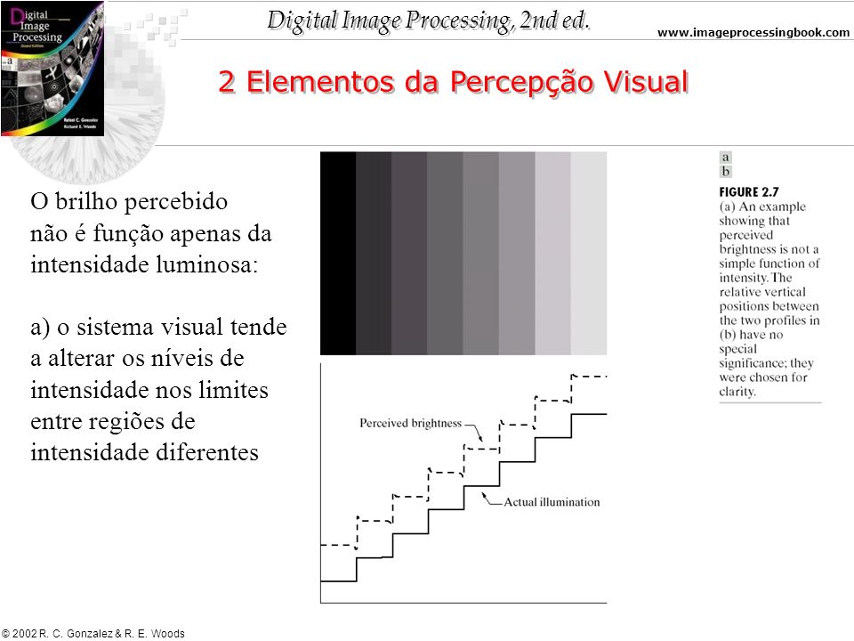 2 Elementos da Percepção Visual