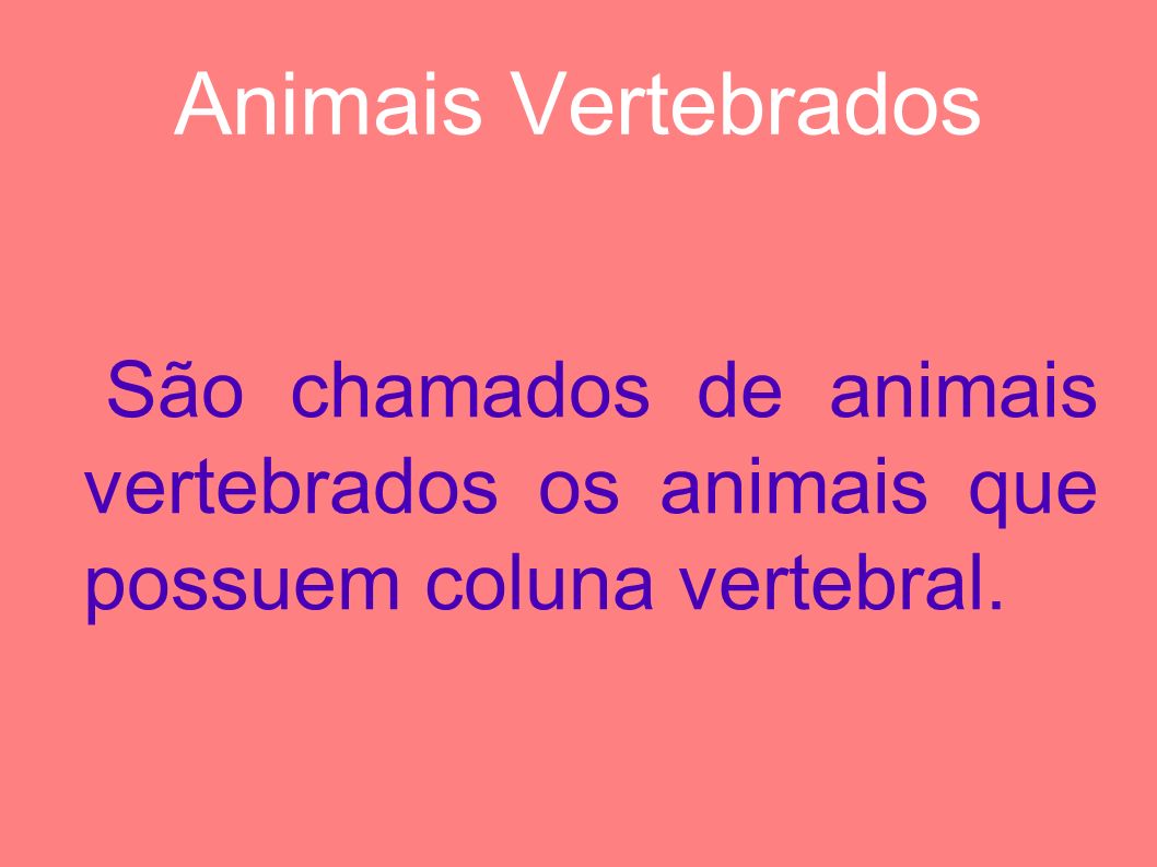Animais Vertebrados São chamados de animais vertebrados os animais que possuem coluna vertebral.