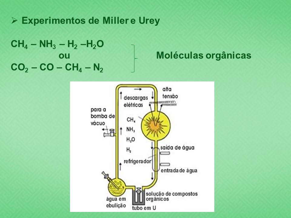 Experimentos de Miller e Urey