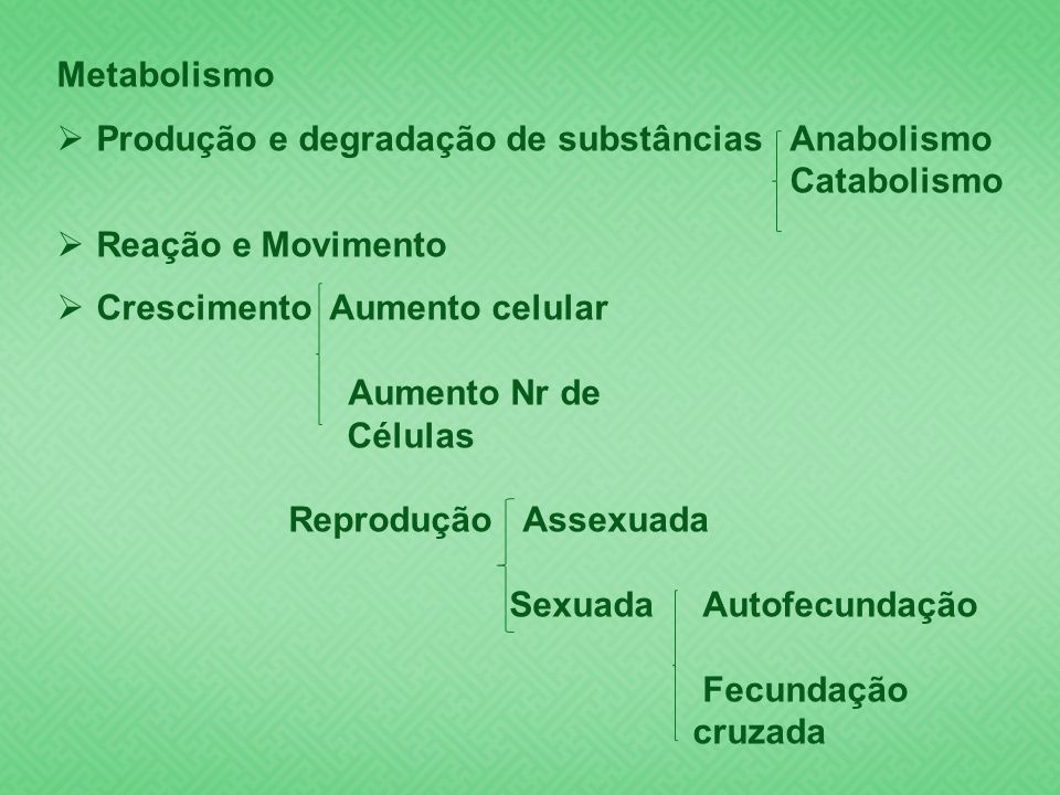 Metabolismo Produção e degradação de substâncias Anabolismo. Catabolismo. Reação e Movimento. Crescimento Aumento celular.