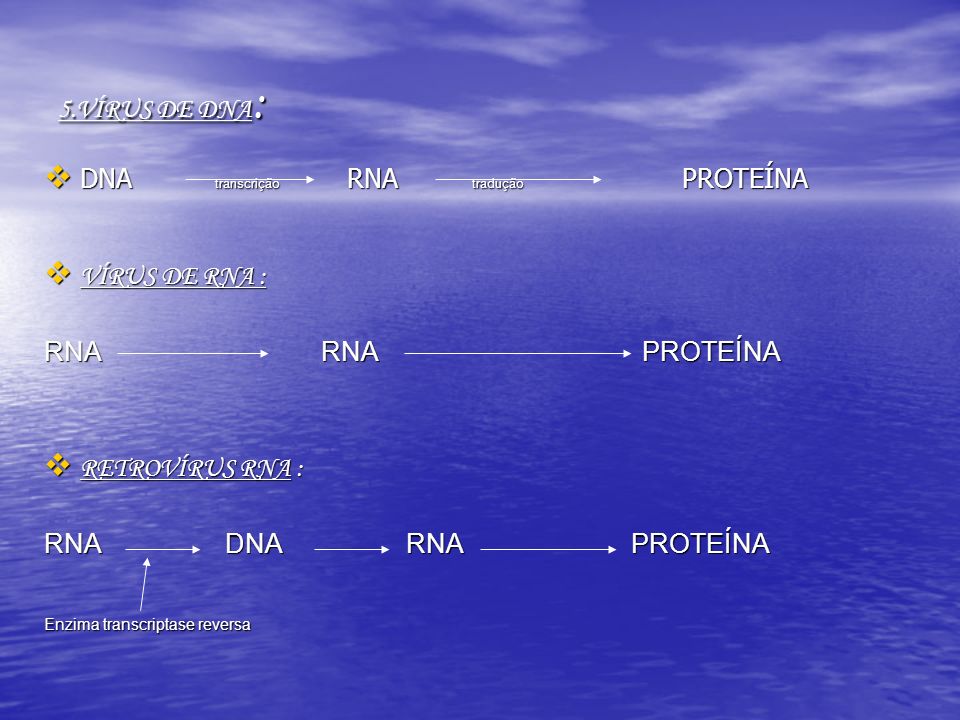 DNA transcrição RNA tradução PROTEÍNA