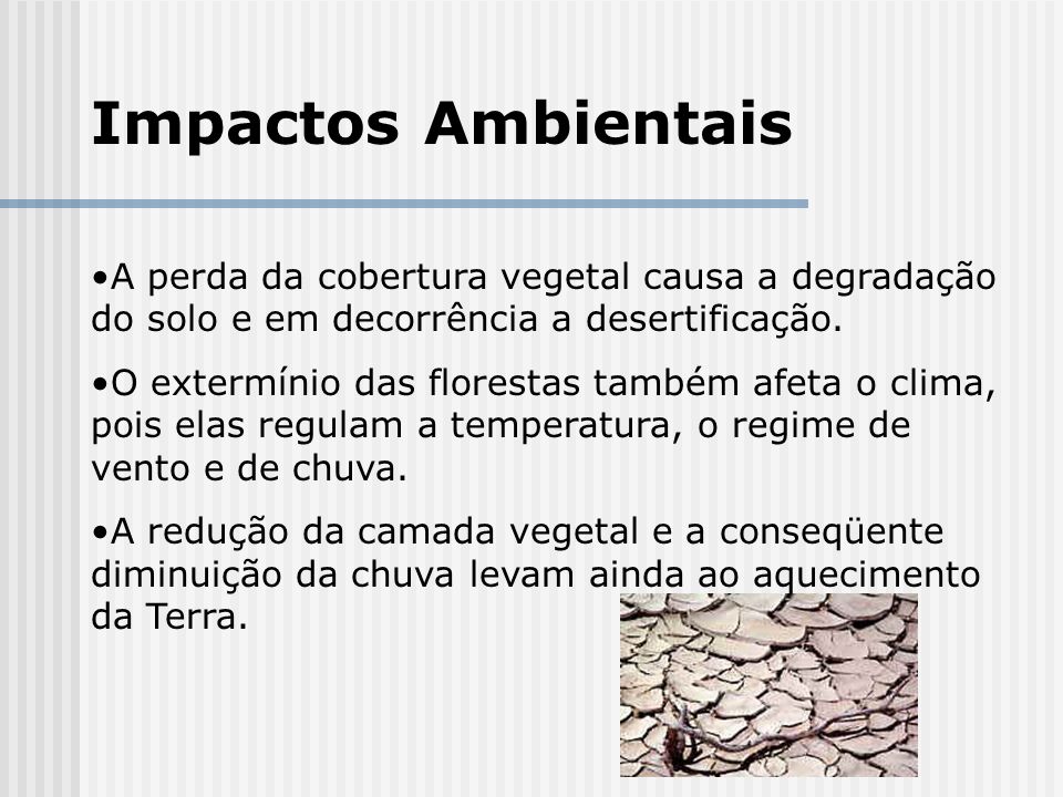 Impactos Ambientais A perda da cobertura vegetal causa a degradação do solo e em decorrência a desertificação.