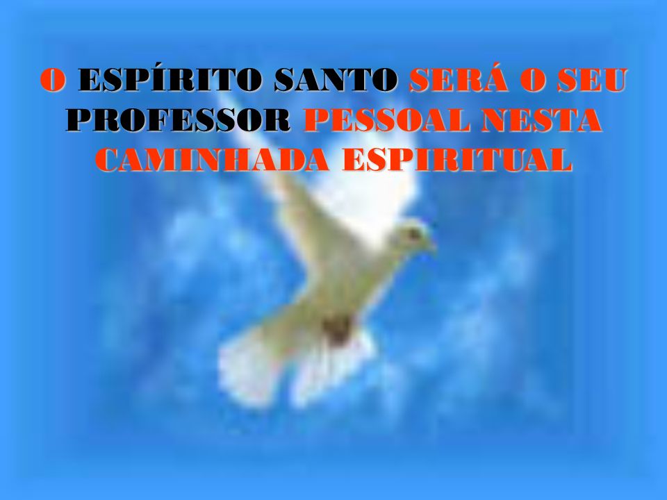 O ESPÍRITO SANTO SERÁ O SEU PROFESSOR PESSOAL NESTA CAMINHADA ESPIRITUAL