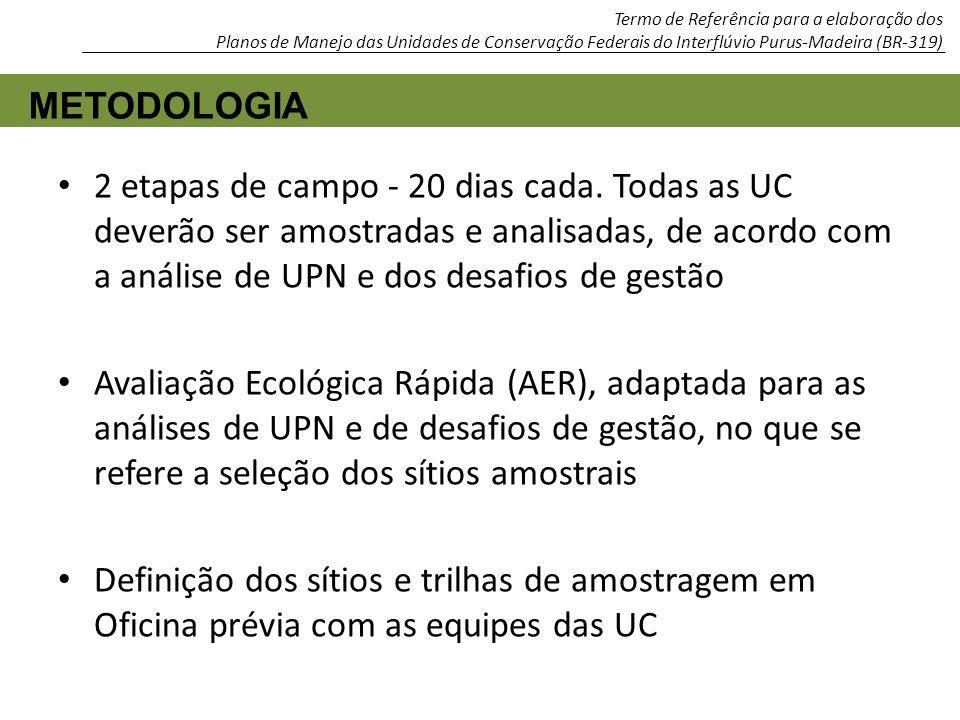 Termo de Referência para a elaboração dos Planos de Manejo das Unidades de Conservação Federais do Interflúvio Purus-Madeira (BR-319)