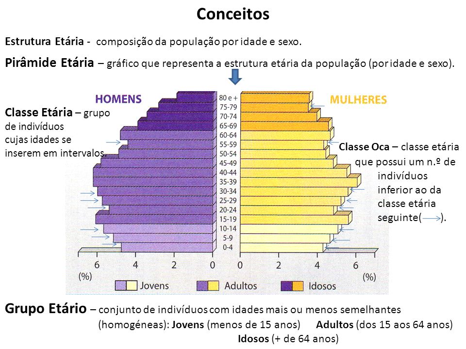 Conceitos Estrutura Etária - composição da população por idade e sexo.