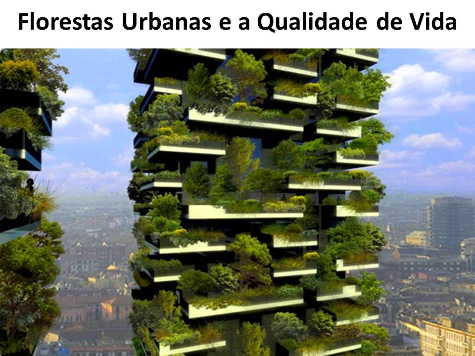 Florestas Urbanas e a Qualidade de Vida
