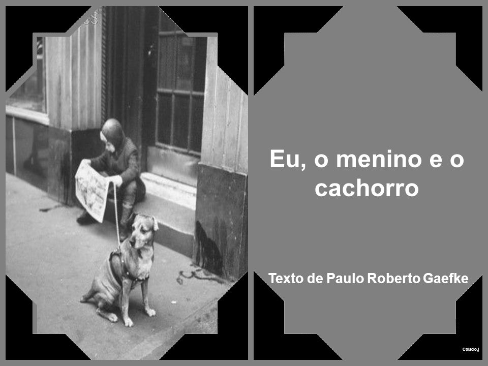Eu, o menino e o cachorro Texto de Paulo Roberto Gaefke