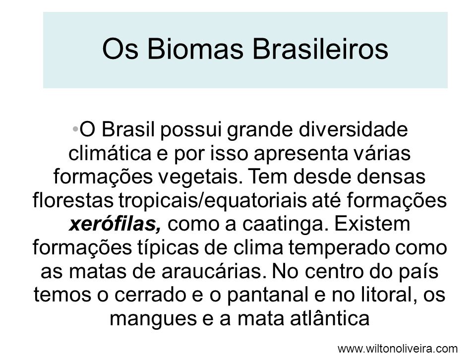 Os Biomas Brasileiros