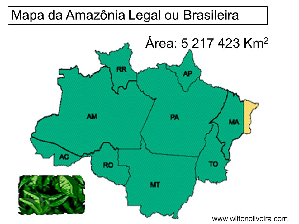 Mapa da Amazônia Legal ou Brasileira