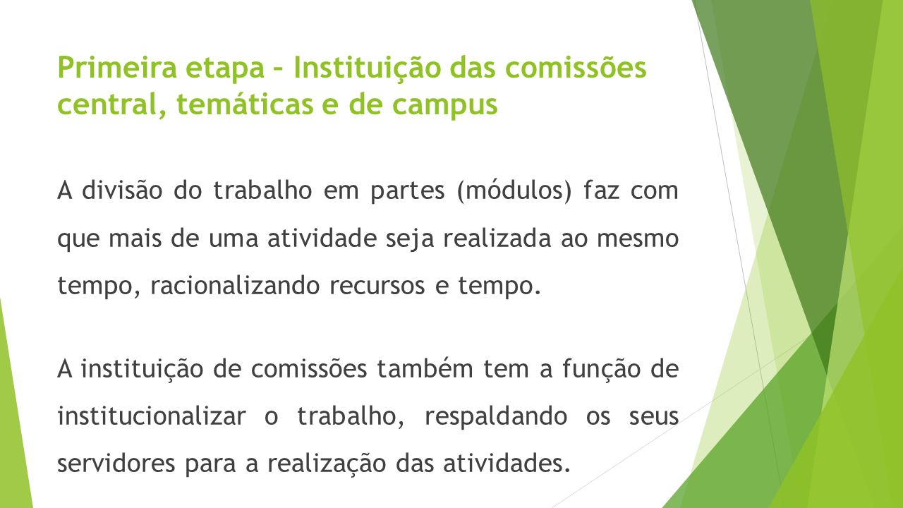 Primeira etapa – Instituição das comissões central, temáticas e de campus